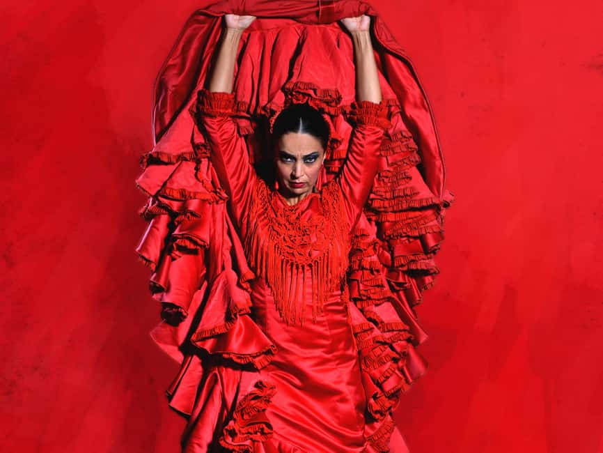Teatro Flamenco Barcelona: Authentic Live Flamenco Show - The real value question: is $26 for flamenco a smart buy?