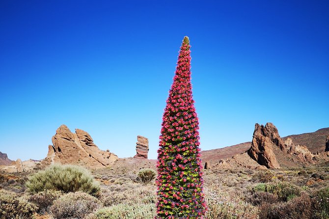 Teide National Park for smaller groups - Roques de García at Paradores Cañadas del Teide: the park’s big moment
