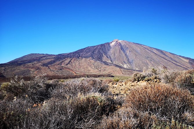 Teide National Park for smaller groups - 1798 eruption facts at Mirador de las Narices del Teide, then big island views