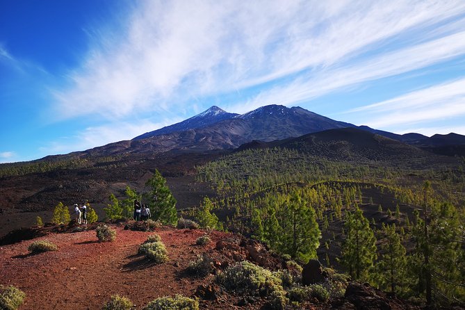 Teide National Park for smaller groups - Stop-by-stop: Vilaflor coffee and altitude acclimatization