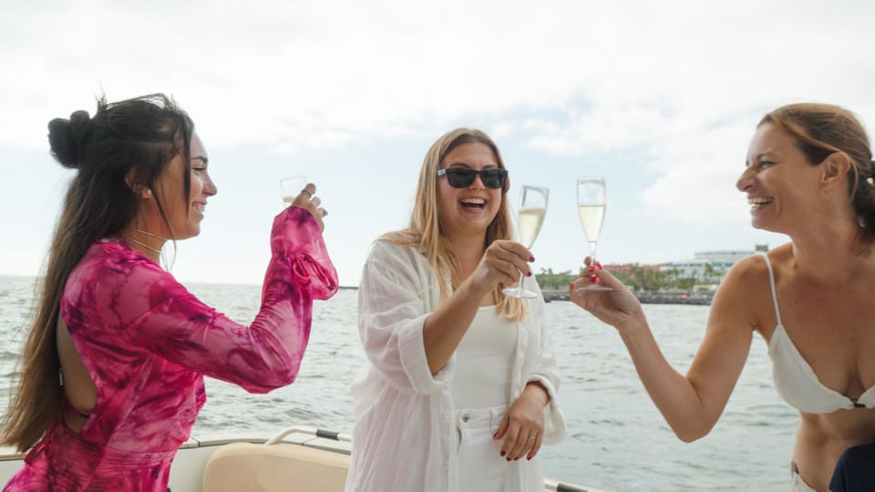 Tenerife: 2, 3 & 4 Hour Private Luxury Motorboat Charter - Wildlife Sightings: What You Can Hope For (Without Overpromising)