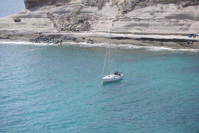 Tenerife 3-Hour Discover Whales and Dolphins - Key highlights worth planning for