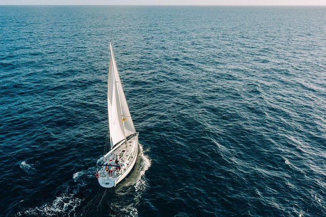 Tenerife 3-Hour Discover Whales and Dolphins - Whales and dolphins: what you actually see and how the crew behaves