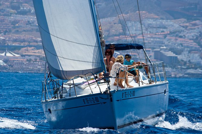 Tenerife 3-Hour Discover Whales and Dolphins - Timing: how to choose the 10:30 am or 1:30 pm departure