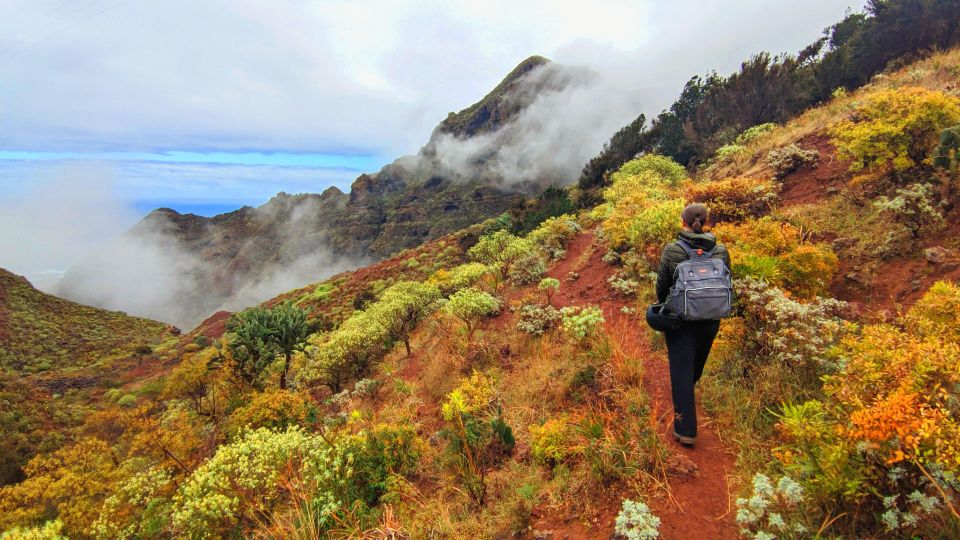 Tenerife: Anaga Mountains & Enchanted Forest Hiking Tour - Scenic Photo Moment and a Taste of Northern Tenerife