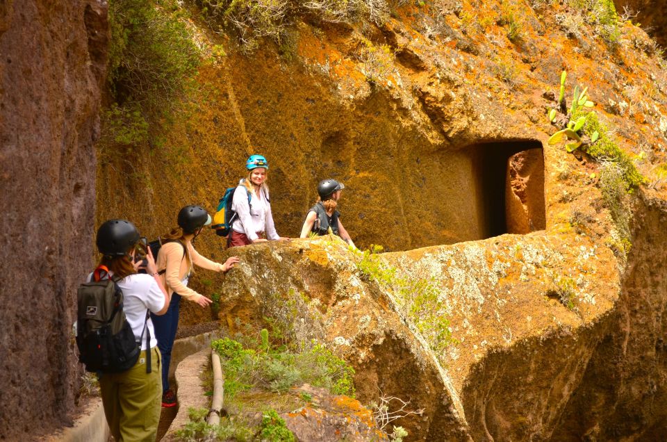 Tenerife: Anaga Mountains & Enchanted Forest Hiking Tour - Safety Gear and Weather Planning That Actually Matters