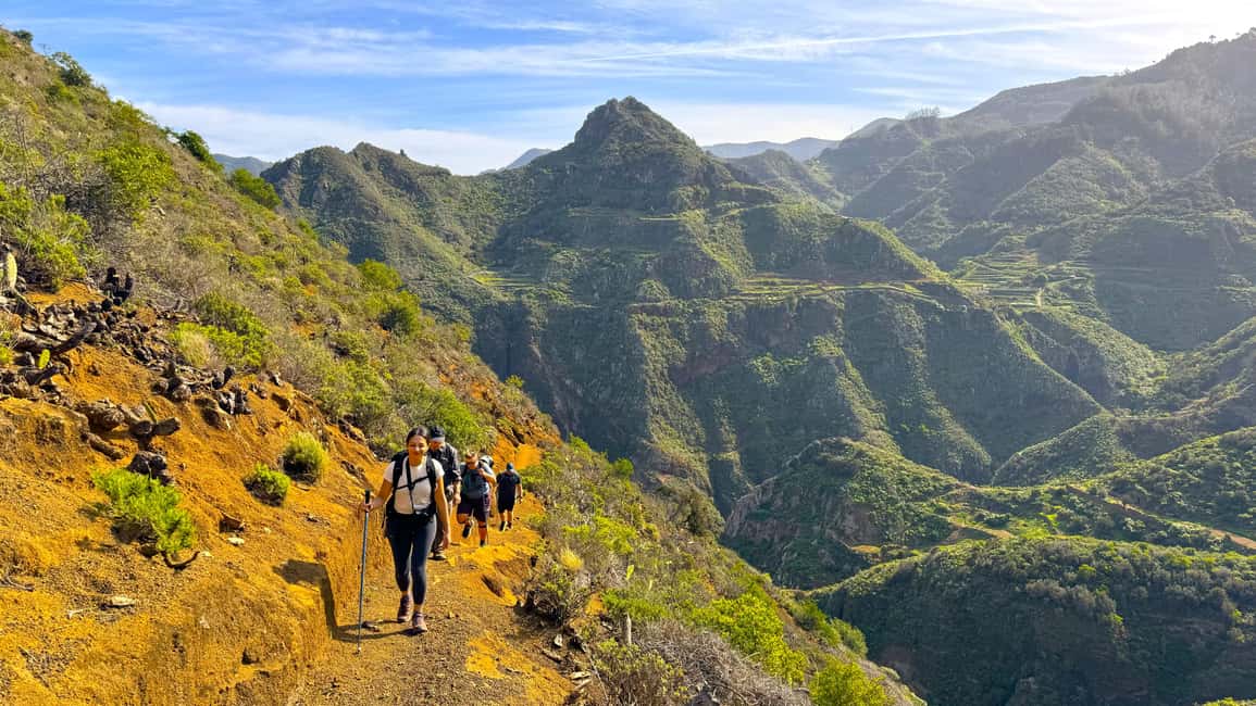 Tenerife: Anaga Mountains & Enchanted Forest Hiking Tour - Price and Value: What You’re Really Paying For at $122