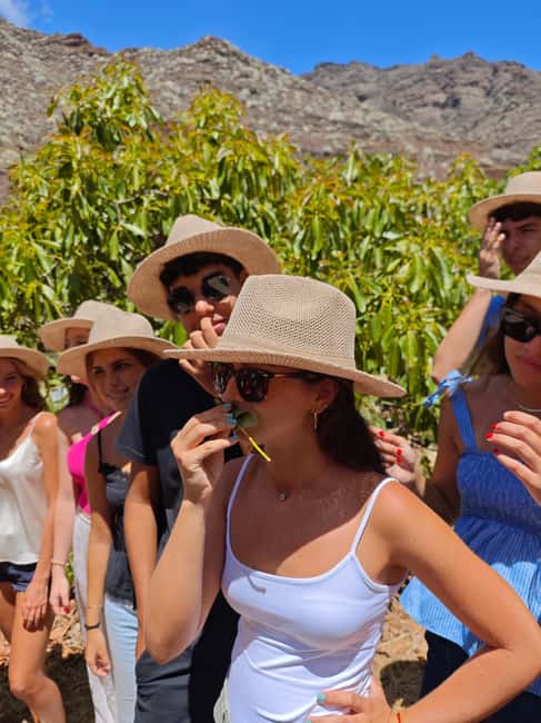 Tenerife: Avocado Farm Tour with Tasting Menu & Wine - Orchard time at Finca Coviella: what you should actually look for on the walk