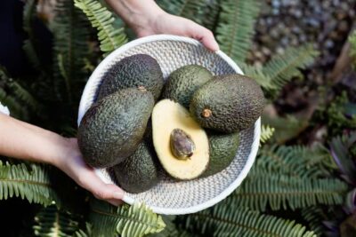 Tenerife: Avocado Farm Tour with Tasting Menu & Wine - Finding the estate near Santa Cruz: meeting point that’s easy to miss