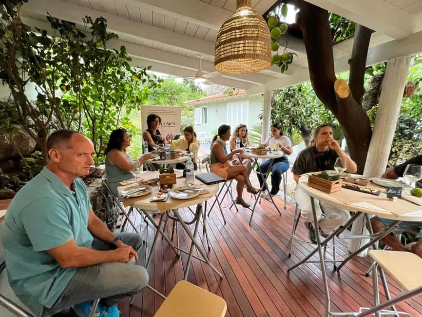 Tenerife: Avocado Farm Tour with Tasting Menu & Wine - Avocado tasting menu: what’s included and why it’s a smart ending
