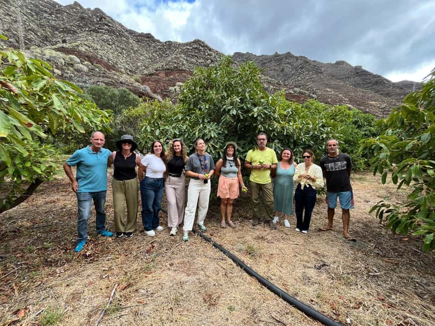 Tenerife: Avocado Farm Tour with Tasting Menu & Wine - Tenerife wine pairing in open air: keep it casual, keep it comfortable