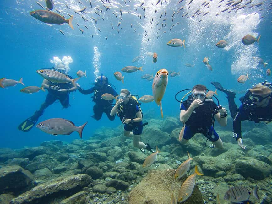 Tenerife: Beginner Scuba Dive Experience - Key Things You’ll Notice