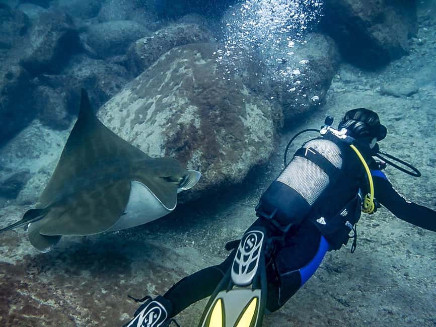 Tenerife: Beginner Scuba Dive Experience - My Booking Advice: Should You Go?