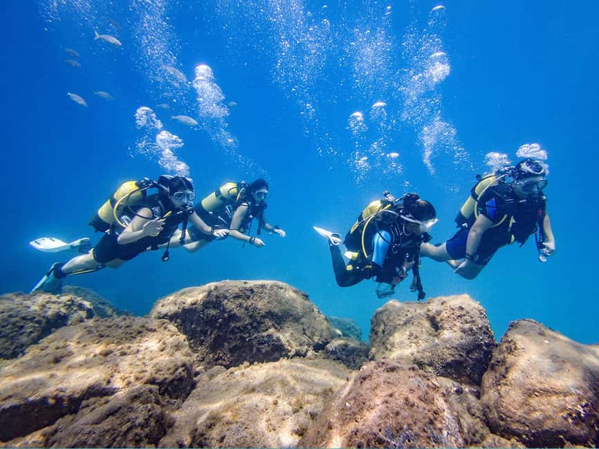 Tenerife: Beginner Scuba Dive Experience - Small Group Coaching With Names You’ll Remember