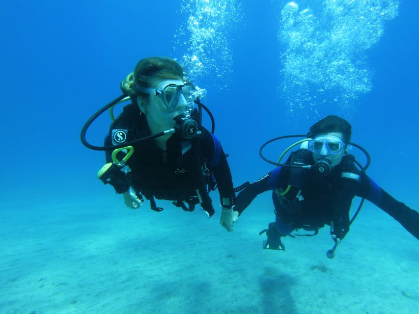 Tenerife: Beginner Scuba Dive Experience - Time, Price, and Value for a First Scuba Session