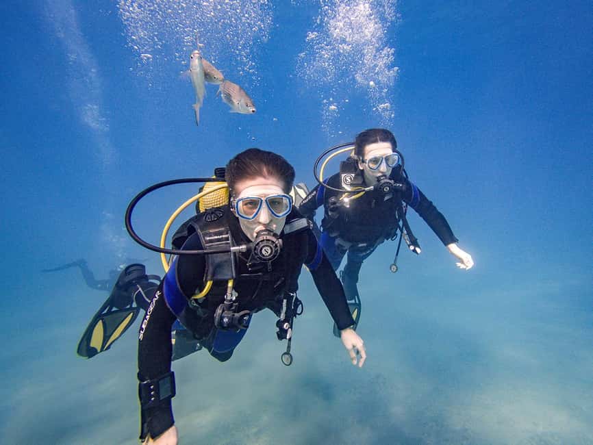 Tenerife: Beginner Scuba Dive Experience - Who This Experience Fits Best (and Who Should Skip It)