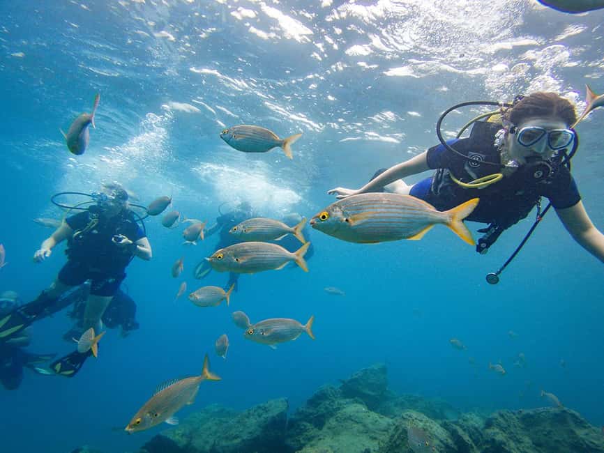 Tenerife: Beginner Scuba Dive Experience - Safety Briefing and Gear Fit That Sets the Tone