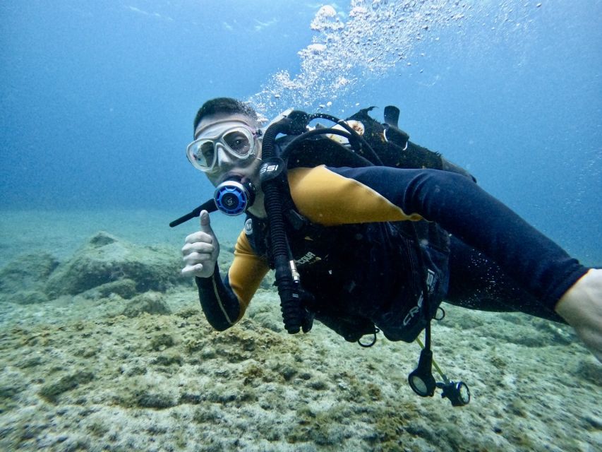Tenerife: Beginner's Dive at a Spot with Turtle Sightings - Arriving at Zero Gravity Tenerife in Puerto Colón (and getting geared up)