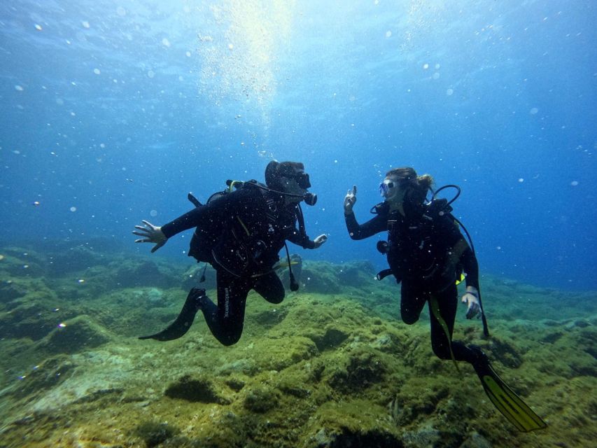 Tenerife: Beginner's Dive at a Spot with Turtle Sightings - Should you book this beginner scuba session in Tenerife?