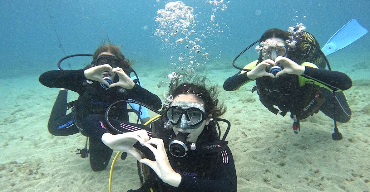 Tenerife: Beginner's Dive at a Spot with Turtle Sightings - The quick speedboat ride along Tenerife’s south coast