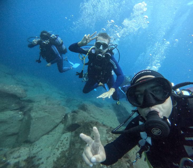 Tenerife: Beginner's Dive at a Spot with Turtle Sightings - What you can spot: moray eels, rays, octopus, cuttlefish, and turtle chances