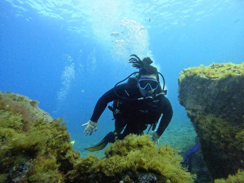 Tenerife: Beginner's Dive at a Spot with Turtle Sightings - Practical tips: what to bring, weather swaps, and the Teide-height rule