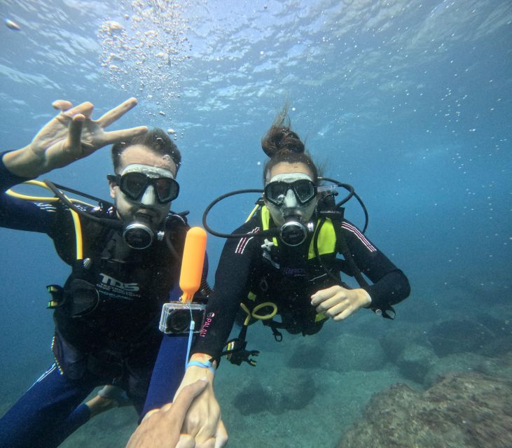 Tenerife: Beginner's Dive at a Spot with Turtle Sightings - Who this tour fits best (and who should skip it)