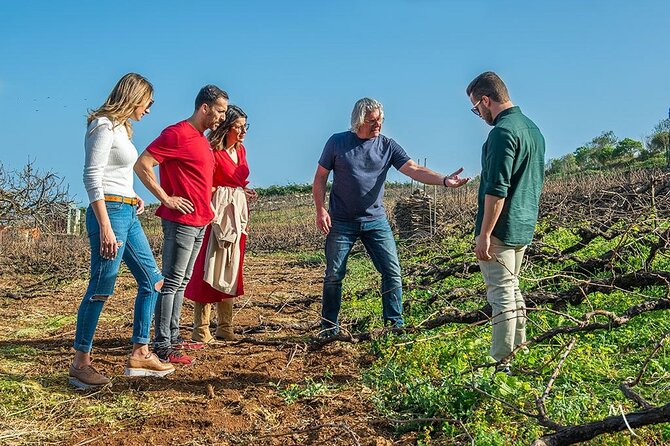 Tenerife Bodegas Monje Winery Tour with Wine and Cheese Tasting - Views during wine time: patio seating, coast air, and what to wear