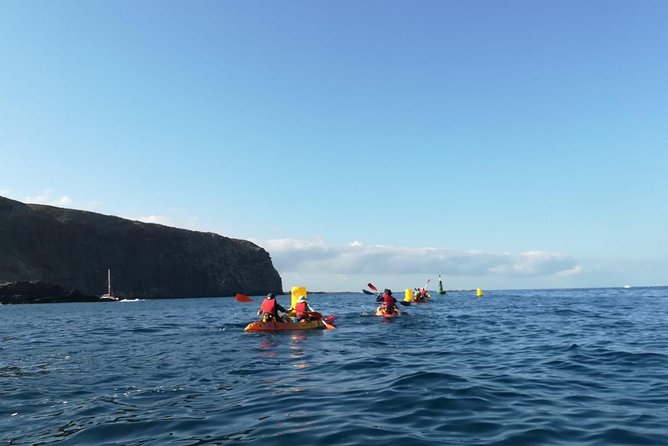 Tenerife by Kayak Adventure in small group - Key Highlights That Make This Trip Worth Your Morning