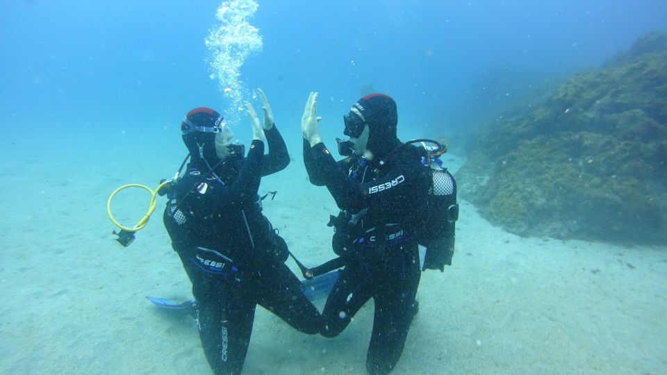Tenerife: Discover Scuba Diving with Free Photos - Why Tenerife’s underwater volcanic formations work so well for first-timers