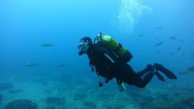Tenerife: Discover Scuba Diving with Free Photos - Dock 5 at Marina del Sur: the easiest way to show up ready