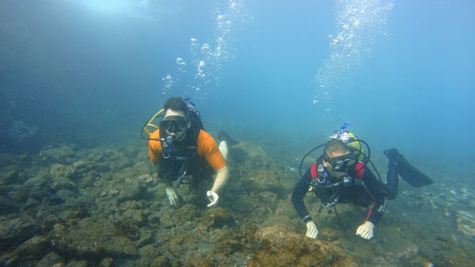 Tenerife: Discover Scuba Diving with Free Photos - Free photos: how they’re handled and how to avoid regrets