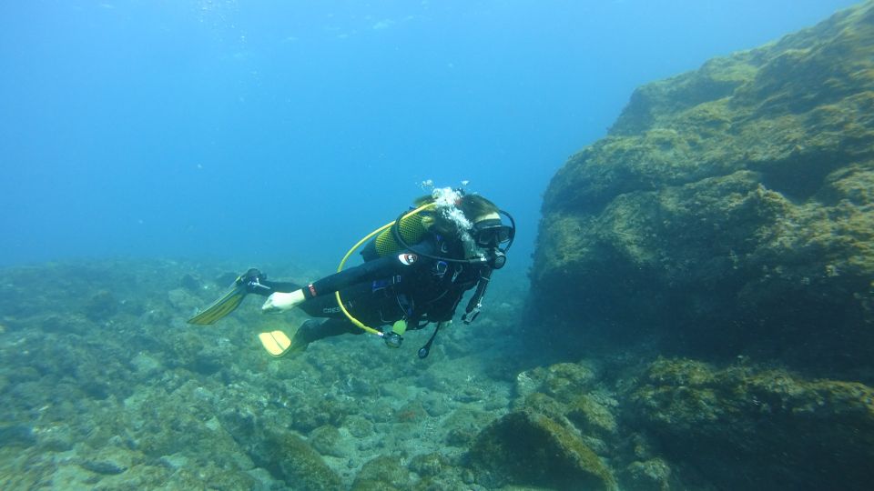 Tenerife: Discover Scuba Diving with Free Photos - Value check: does $105 make sense for a 3-hour first scuba outing?