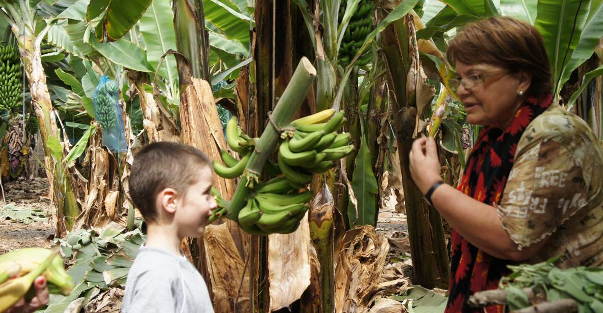 Tenerife: Finca Las Margaritas Banana Plantation Experience - Entering the Las Margaritas Plantation Experience