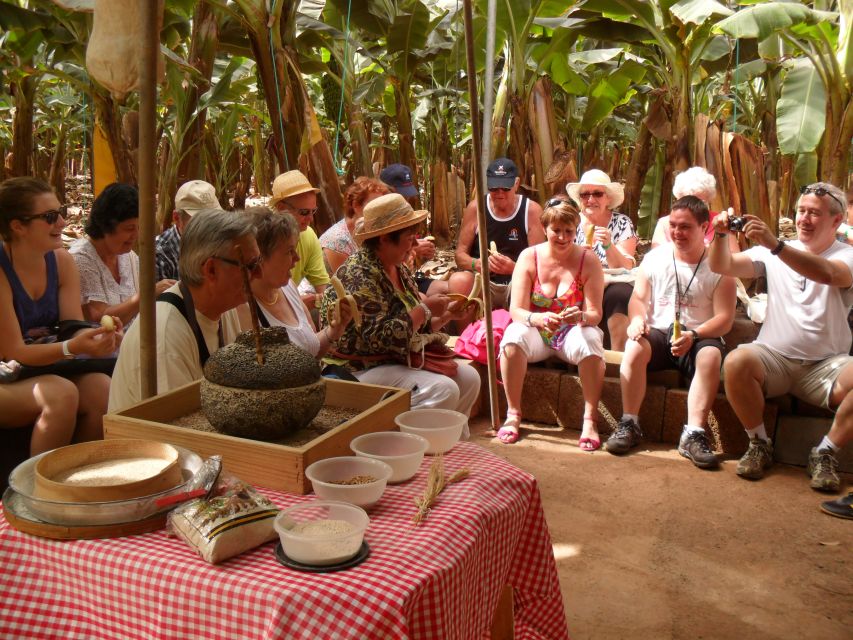 Tenerife: Finca Las Margaritas Banana Plantation Experience - Price and Value: Is $11 a Fair Deal?
