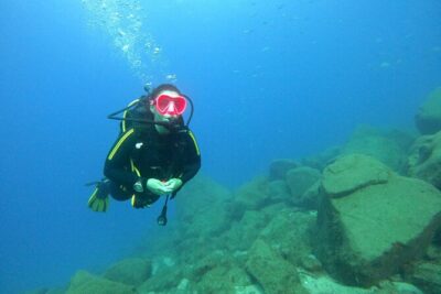 Tenerife First Time Scuba Dive – Turtle Habitat, Small Groups - Shallow underwater training with a PADI instructor (max 7 meters)