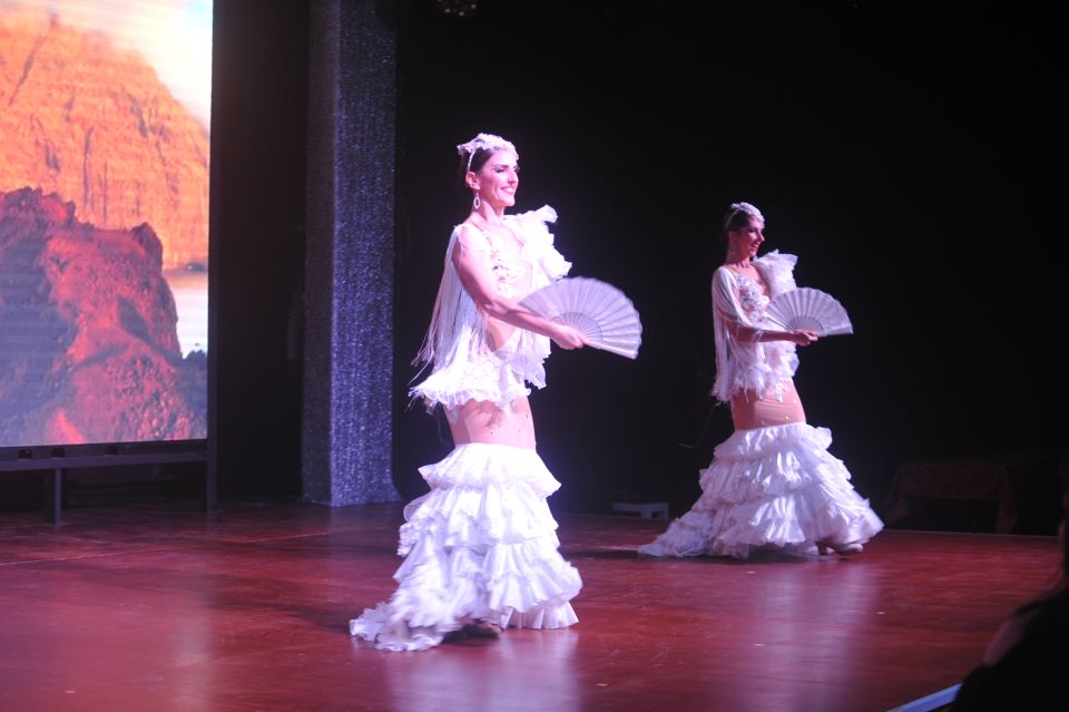 Tenerife: Flamenco Performance at Teatro Coliseo - Who should book this flamenco show (and who should skip it)