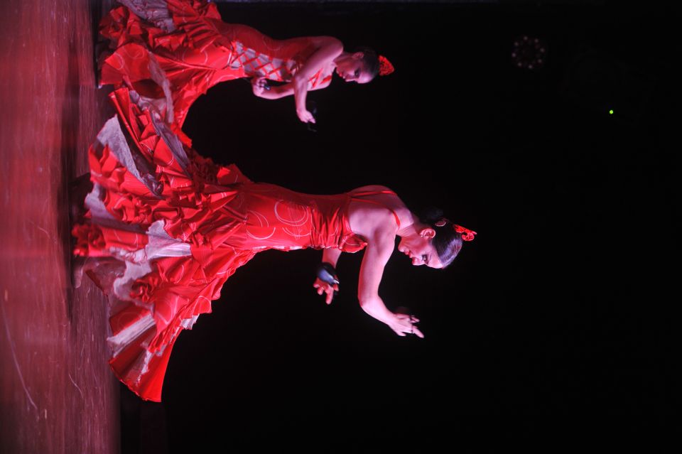 Tenerife: Flamenco Performance at Teatro Coliseo - VIP vs standard tickets: what you actually gain