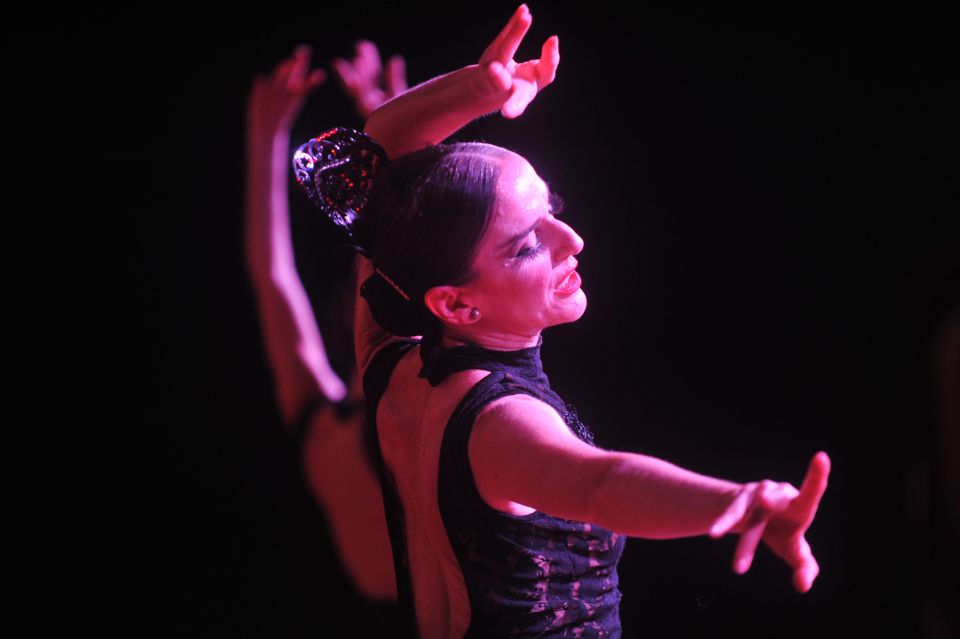 Tenerife: Flamenco Performance at Teatro Coliseo - Tenerife pickup and taxis: avoiding the I missed my show moment