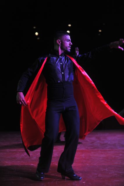 Tenerife: Flamenco Performance at Teatro Coliseo - Getting the most from 90 minutes on stage