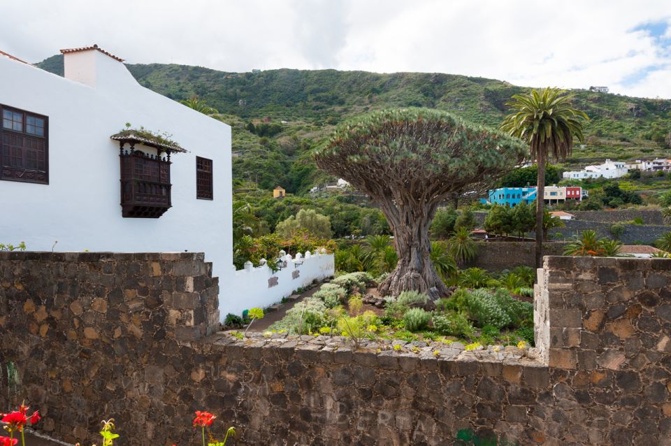 Tenerife: Full-Day Guided Island Tour - Key Highlights at a Glance