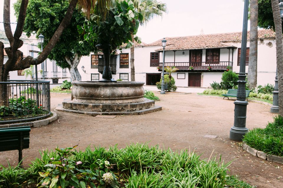Tenerife: Full-Day Guided Island Tour - Puerto de la Cruz: Lunch on Your Own and Time to Walk