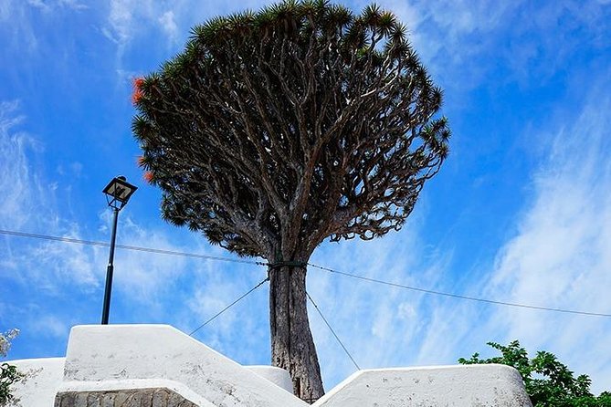 Tenerife Full Island Tour - Price and the real value of this Tenerife day