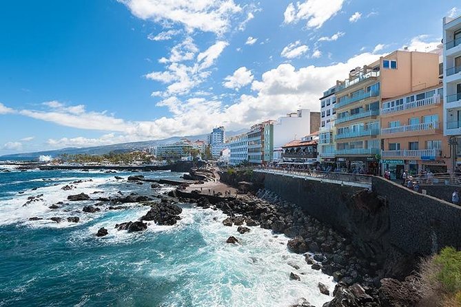Tenerife Full Island Tour - Icod de los Vinos and Parque del Drago: seeing the dragon tree up close