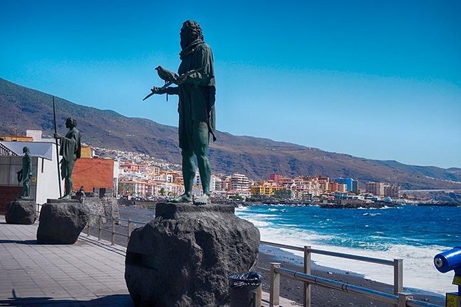 Tenerife Full Island Tour - What the vehicle and group size can feel like