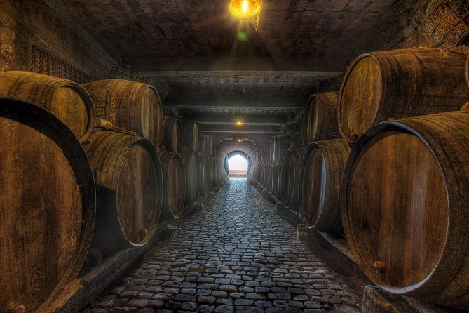 Tenerife Gastronomy Tour with Two Winery Visits and 4-Course Lunch - Pickup, timing, and the coach reality check