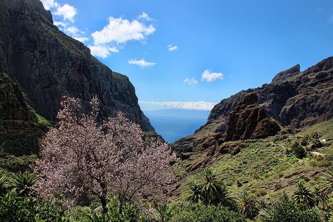 Tenerife Grand Tour: including Teide National Park and Masca - Teide National Park in 30 minutes: how to make the most of the clock