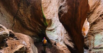 Tenerife: Guided Canyoning Experience in Los Arcos - The 6-hour flow: from the cafeteria car park to the canyon walls
