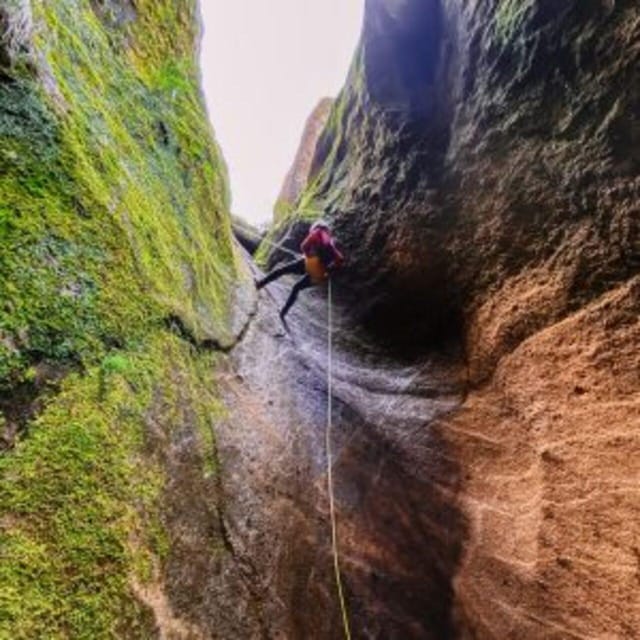 Tenerife: Guided Canyoning Experience in Los Arcos - Rappelling the volcanic-ash walls: what the descents are like