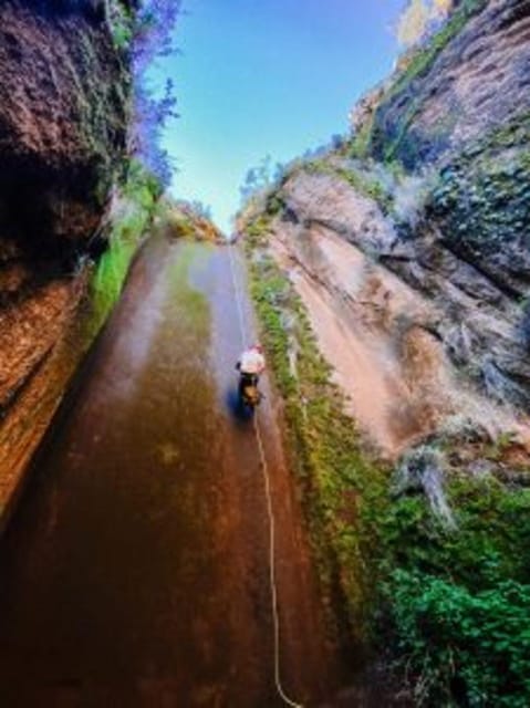 Tenerife: Guided Canyoning Experience in Los Arcos - Comfort tips that actually help on rope days